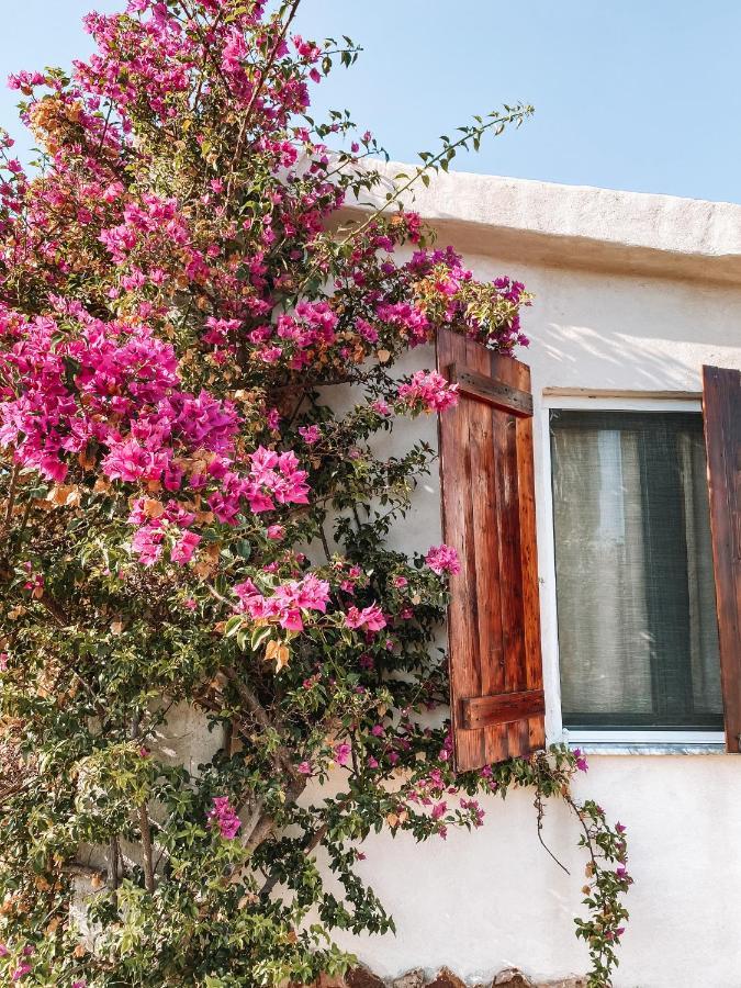 לוצוראי Villa Gladyr מראה חיצוני תמונה
