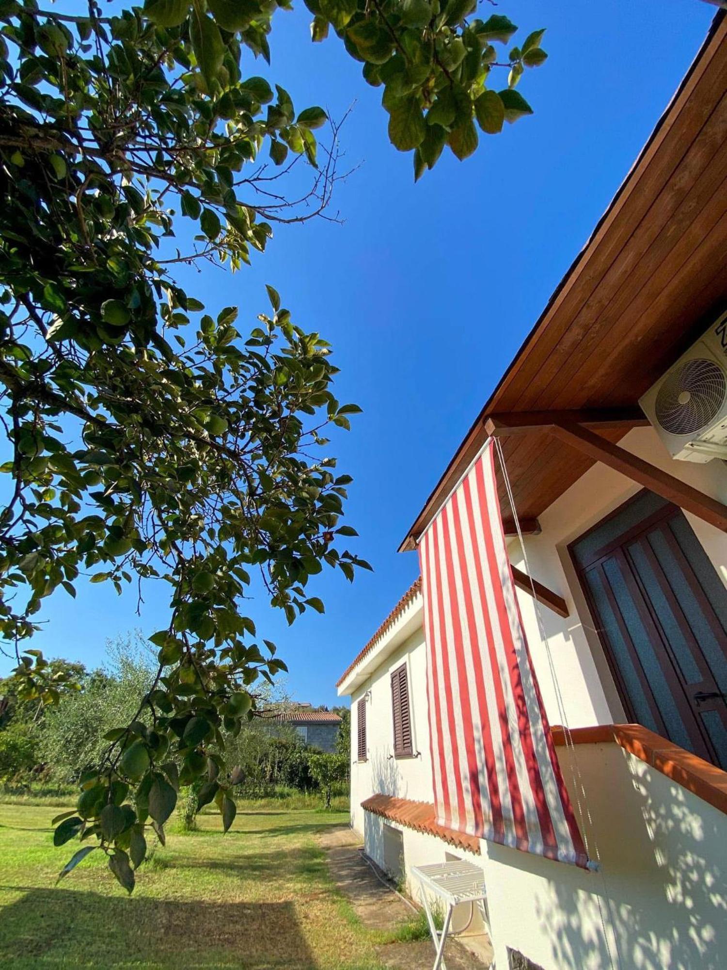 לוצוראי Villa Gladyr מראה חיצוני תמונה